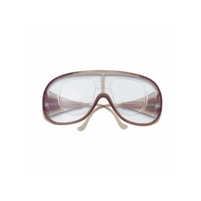 RX1000SERIESCLEARLENS SAFETYGLASSES{12}